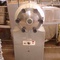 Auto Clave Horizontal em aço inox, 20 litros