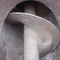 Rosca Transportadora em aço inox