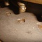 Compressora Rotativa