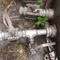 Tanque em aço carbono, 3.000 litros