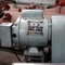 Granulador em aço inox