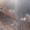 Tanque em aço carbono, 2.000 litros