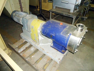 Bomba de Lóbulo em aço inox 2" 1/2
