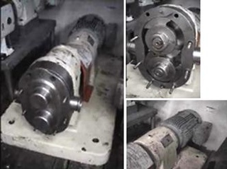 Bomba De Lóbulo Em Aço Inox