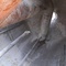 Tanque misturador em aço inox, 3.800 litros