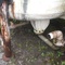 Tanque em Fibra, 10.000 litros