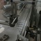 Envasadora Rotativa Automática Em Aço Inox